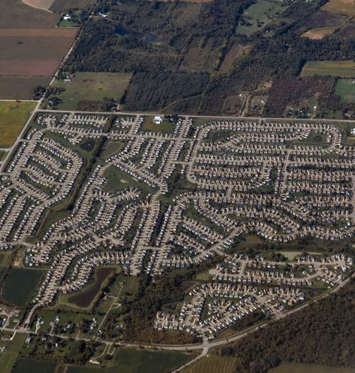 Human encroachment into forest lands is one of the major forest threats. Photo credit: Bill Cook l MSU Extension