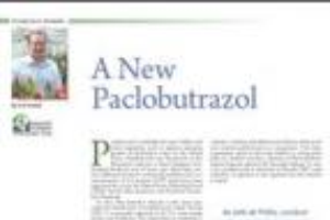 A new paclobutrazol (Piccolo 10XC)