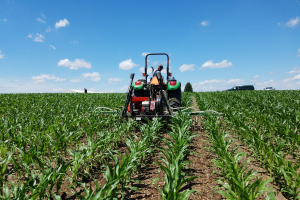 Cover Crop Virtual Field Day on Sept. 2 to feature early interseeding into corn