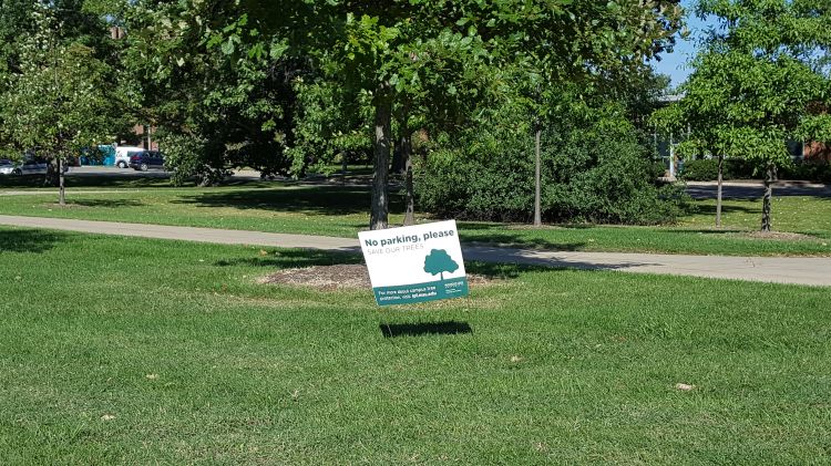 No parking signs are a visible reminder that trees have sensitive root systems. | Photo by Georgia Peterson, MSU Extension 