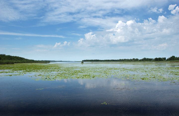 Get Wallpaper A History Of Wetlands In Michigan Part 3 Msu Extension For iPhone Free