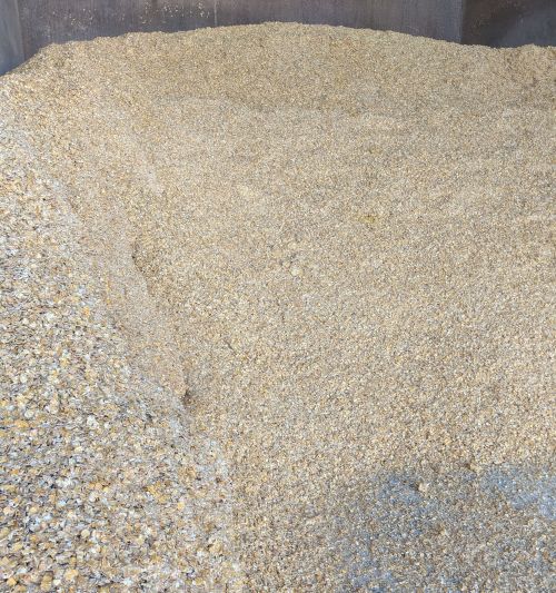 Steam flaked corn in a commodity bay