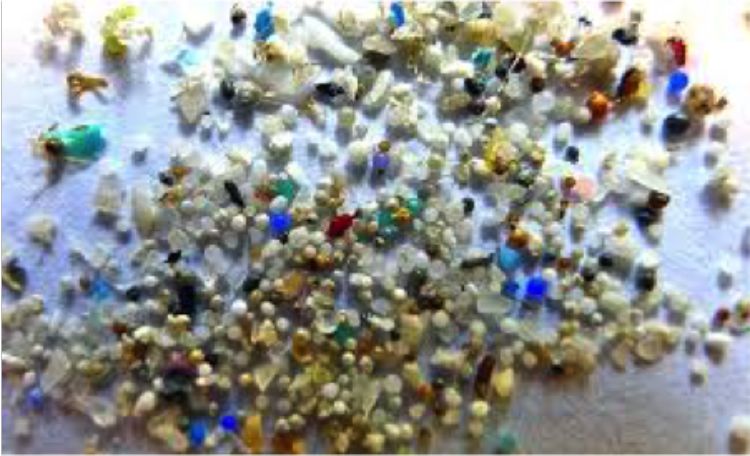 The U.S. House and Senate have passed H.R. 1321, the Microbead-Free Waters Act of 2015, and it was signed into law by President Obama on Dec. 28, 2015. Photo: Michigan Sea Grant