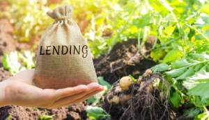 What is the lender looking for?