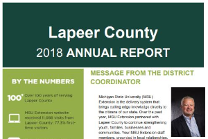 Lapeer County Annual Report: 2018