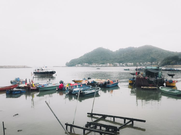 Fishing boats in a bay, with a big mountain in the distance