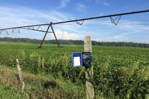 Using soil moisture meters to complement irrigation scheduling