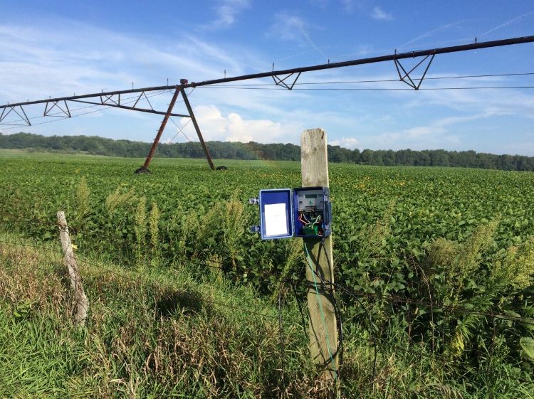 Soil monitoring for irrigation management