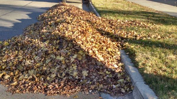 Mulching leaves best sale with riding mower