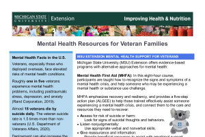 Mental Health Resources for Veteran Families