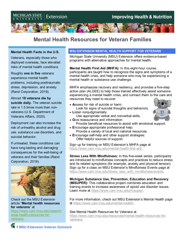 Front page of Mental Health Resources for Veteran Families Tip Sheet