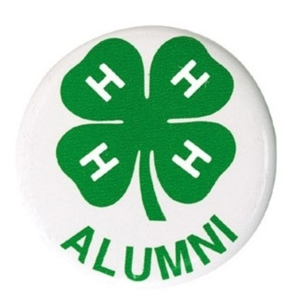 Photo of button with a clover and the work alumni on it.