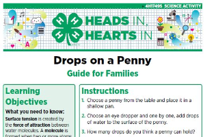 Heads In, Hearts In: Drops on a Penny