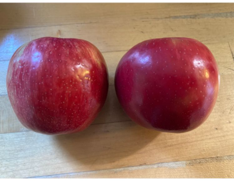 Honeycrisp apples next to each other