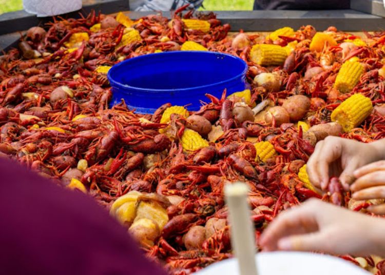 A big vat of crayfish and corn on the cob being prepared for eating in a crawfish boil.