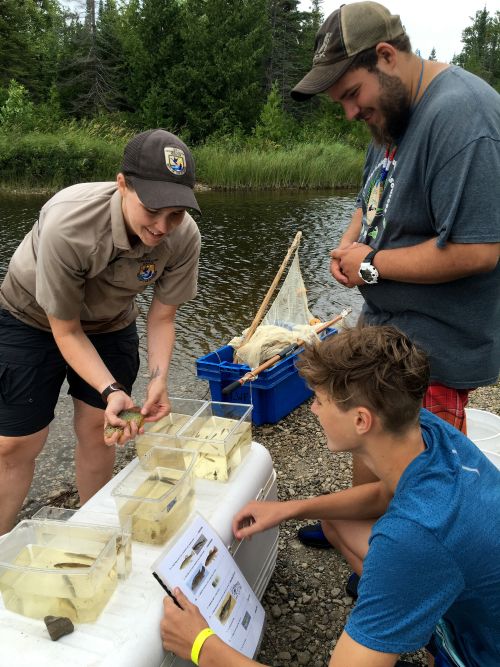 U.S. Fish & Wildlife staff helping youth ID fish