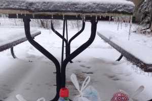 Can You Safely Store Perishable Food Outside During Winter Months