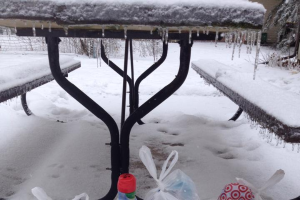 Can you safely store perishable food outside during winter months?