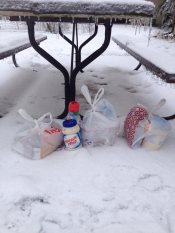 Can You Safely Store Perishable Food Outside During Winter Months
