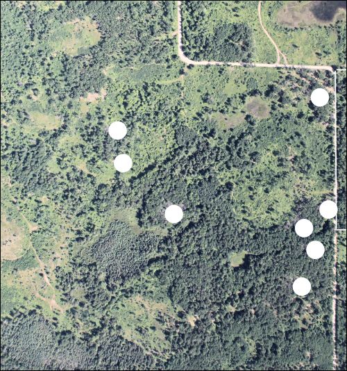 Identification of potential oak wilt sites using aerial photography.