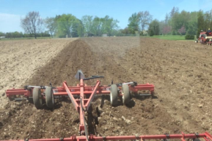 The steps for good quality corn silage begins now