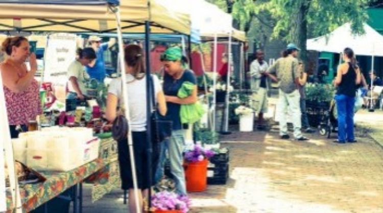 A Michigan farmer's market. Photo courtesy Lindsey Scalera.