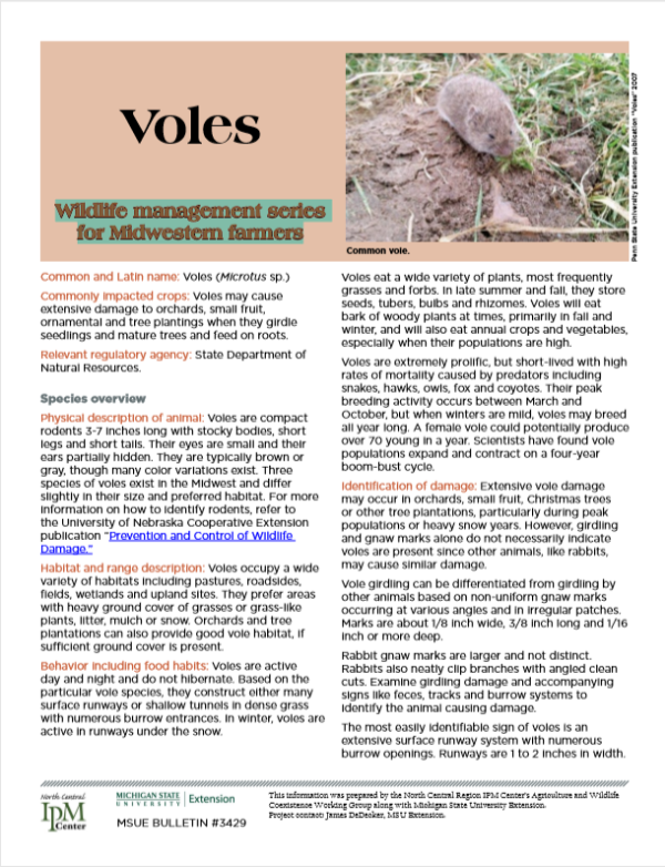 Photo of first page of Voles article.