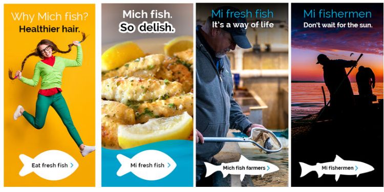 A series of 4 different ads for Mi Fresh Fish. Image of girl with long pigtails has text Why Mich fish? Healthier hair. Eat fresh fish.; Image of fish and cut lemon on a plate with text Mich fish. So delish. Mi Fresh Fish.; Image of man with small fish in small net getting ready to process with text Mi Fresh Fish. It's a way of life. Mich fish farmers.; Image of fishermen on boat at sunrise placing their nets with text Mi fishermen. Don't wait for the sun. Mi fishermen. Last sentence in each located under picture and is a link to more information online.