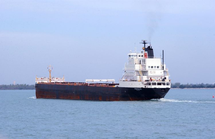 A cargo ship is seen on the Great Lakes from the shoreline.