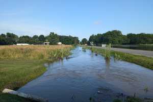 Michigan vegetable crop report – July 17, 2024 - Vegetables