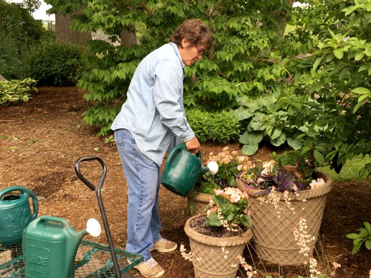 Extension Master Gardener watering plants
