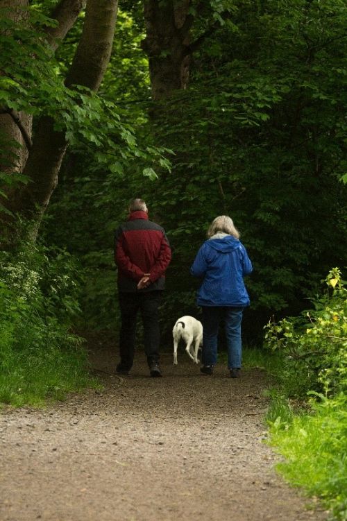 Two people walking a dog in the woods.