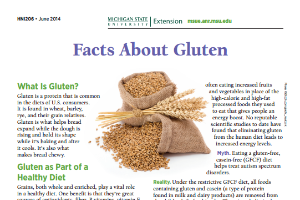 Facts About Gluten (HNI206)