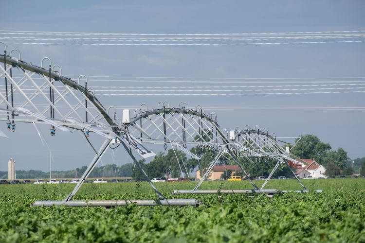Image showing irrigation in a field.
