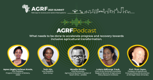 Recent Podcast with MSU Professor Emeritus Envisions the Future of African Agriculture