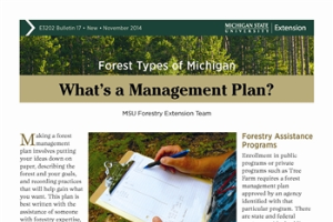 Forest Types of Michigan: What's a Management Plan? (E3202-17)