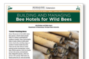 Building and Managing Bee Hotels for Wild Bees (E3337)