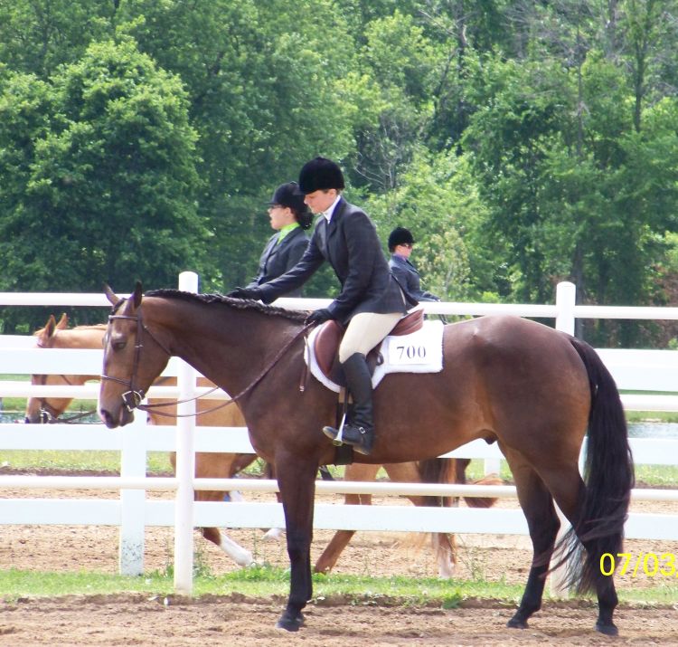 Five things to stop saying now to improve your horse show