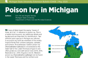 New, free poison ivy bulletin available for ID, control and more