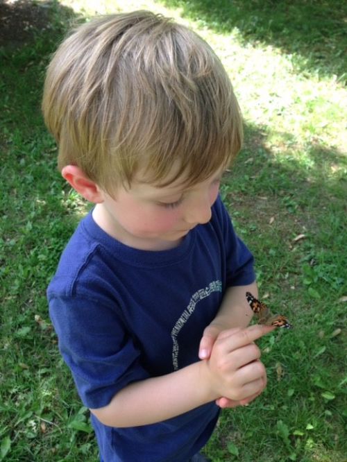 Explore nature, gardening and farming in the spring.