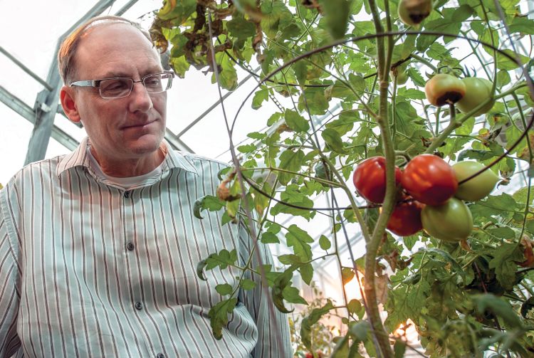 Gregg Howe, a University Distinguished Professor in the MSU Department of Biochemistry and Molecular Biology, is a founding member of the Plant Resilience Institute.