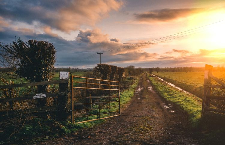 A photo of an open gate leading into a dirt farm lane with the sun setting in the distance.