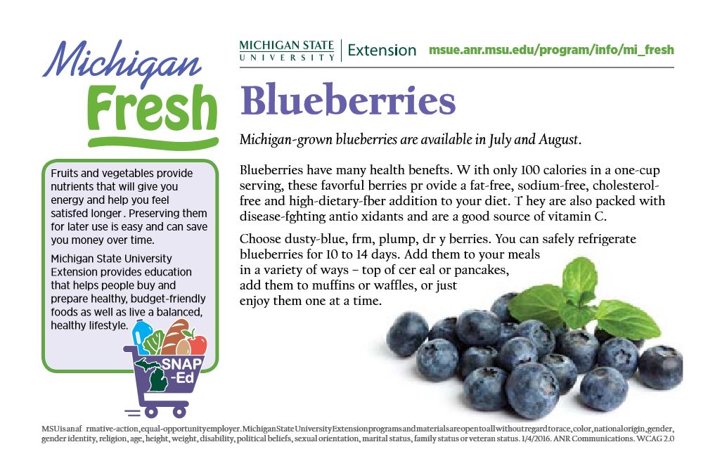 Created graphic of Michigan blueberries.