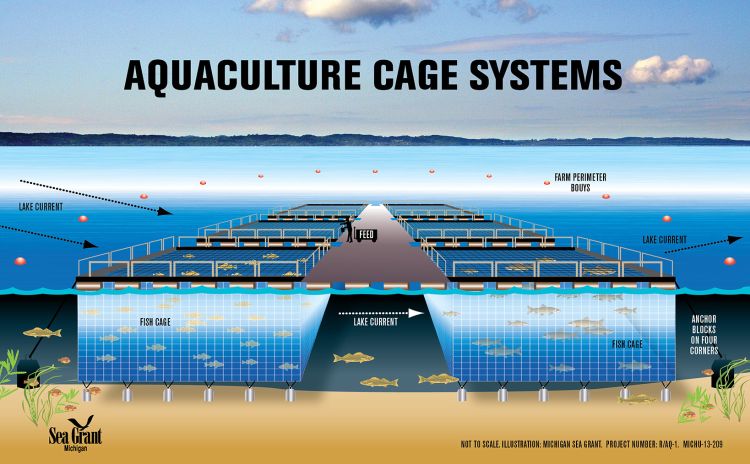 Great Lakes net-pen aquaculture -- real and perceived risks to the