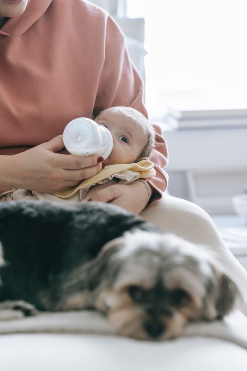 A baby being fed.