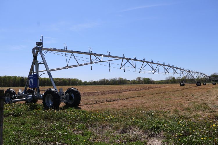 A linear sprinkler irrigation system in a crop field.