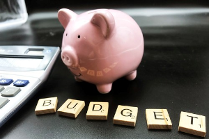 Budgeting: Understanding Income and Expenses