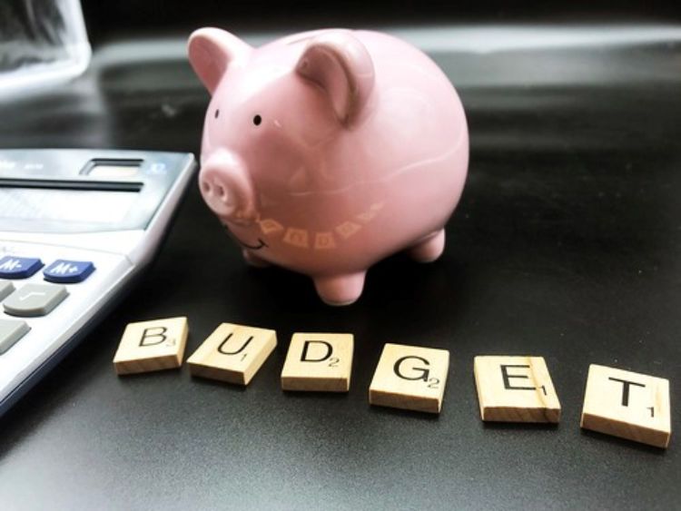 Piggy bank next to the word Budget.