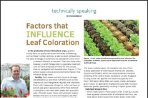 Factors that influence leaf coloration