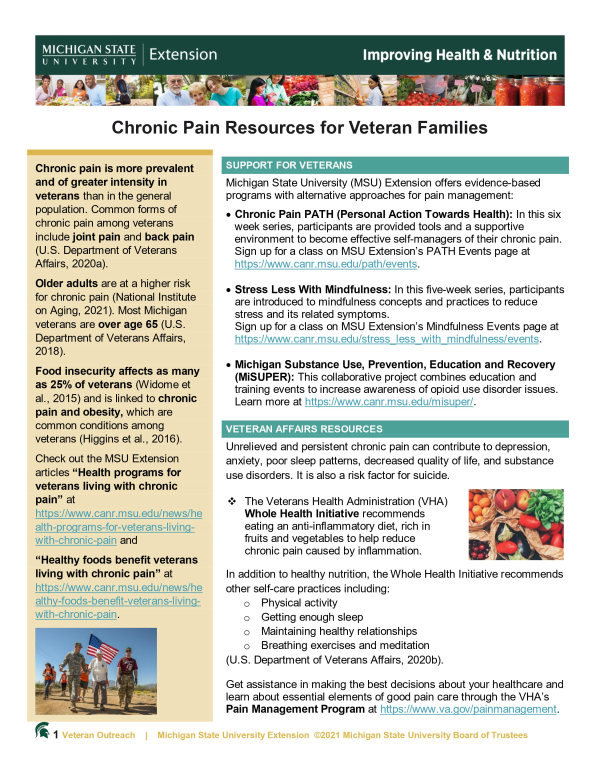 Front page of Chronic Pain Resources for Veteran Families Tip Sheet